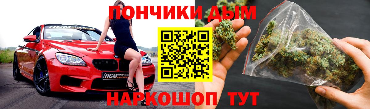 Бошки Шишки план Кингисепп